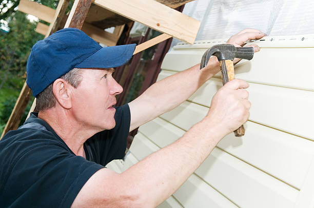 Best Fascia and Soffit Installation  in Riverside, IL